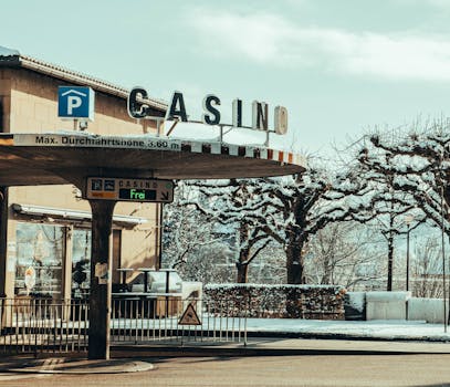 Kasinokuva